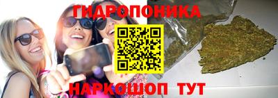 соль ск Свободный