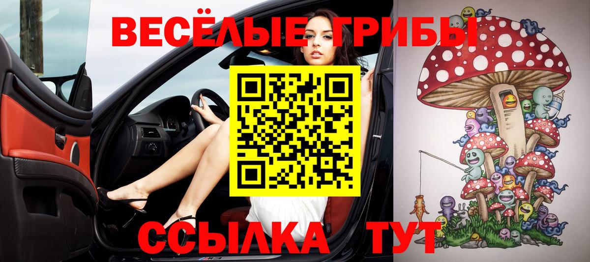 Псилоцибиновые грибы Psilocybe Прохладный