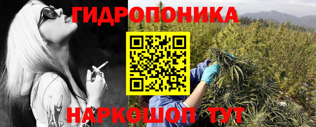 Каннабис OG Kush  Вход с VPN  Бошки Шишки Amnesia  Прохладный  Шишки марихуана конопля 